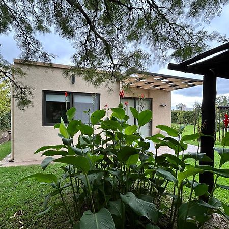 Loft Los Cerezos en VISTALBA, zona de viñedos y bodegas Lujan de Cuyo Exterior foto