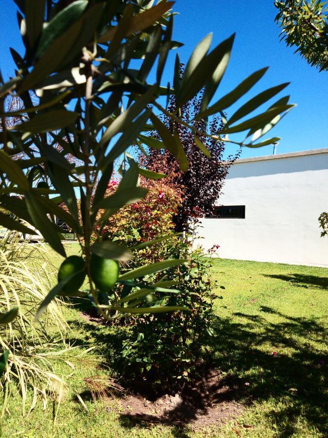 Loft Los Cerezos en VISTALBA, zona de viñedos y bodegas Lujan de Cuyo Exterior foto